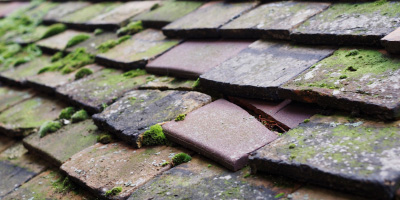 Stoke Prior roof repair costs